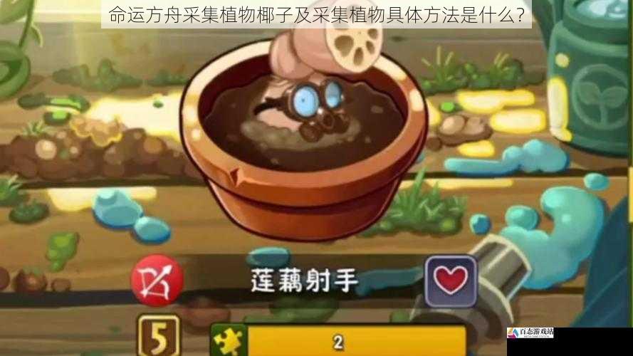  命运方舟采集植物椰子及采集植物具体方法是什么？
