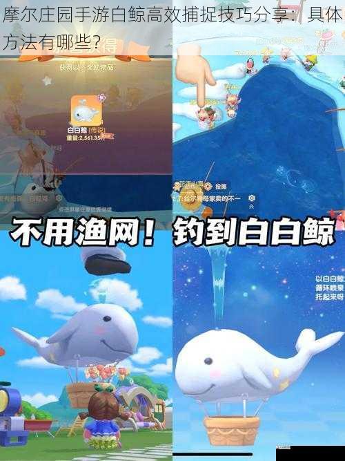 摩尔庄园手游白鲸高效捕捉技巧分享：具体方法有哪些？