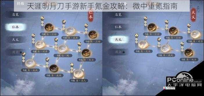  天涯明月刀手游新手氪金攻略：微中重氪指南