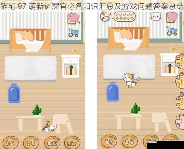 猫宅 97 萌新铲屎官必备知识汇总及游戏问题答案总结