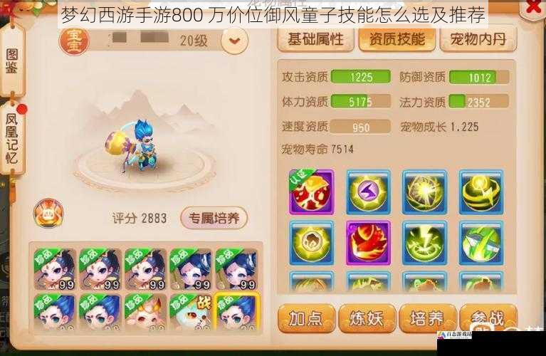  梦幻西游手游800 万价位御风童子技能怎么选及推荐