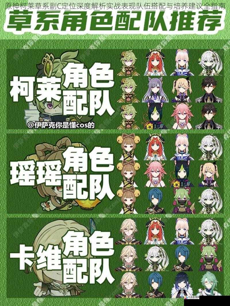  原神柯莱草系副C定位深度解析实战表现队伍搭配与培养建议全指南