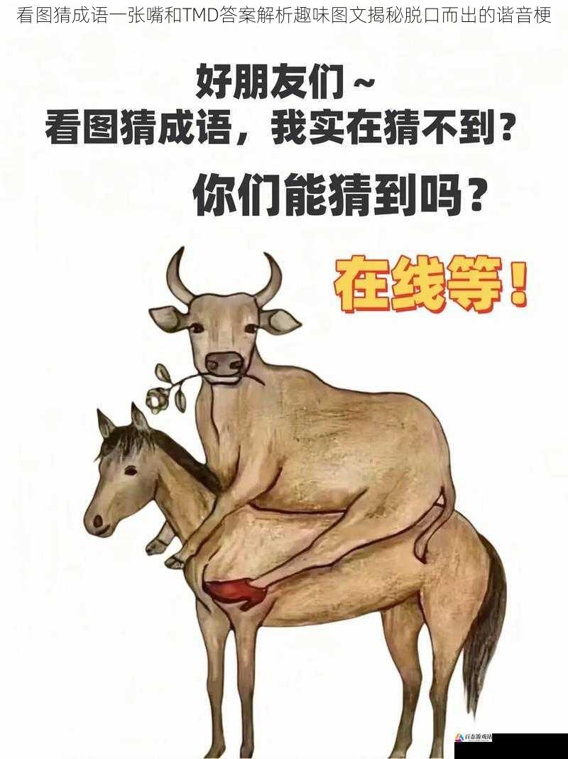  看图猜成语一张嘴和TMD答案解析趣味图文揭秘脱口而出的谐音梗