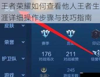 王者荣耀如何查看他人王者生涯详细操作步骤与技巧指南