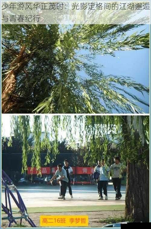 少年游风华正茂时:光影定格间的少年江湖邂逅与青春纪行