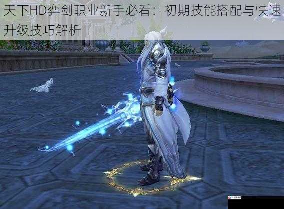 天下HD弈剑职业新手必看:初期技能搭配与快速升级技巧解析