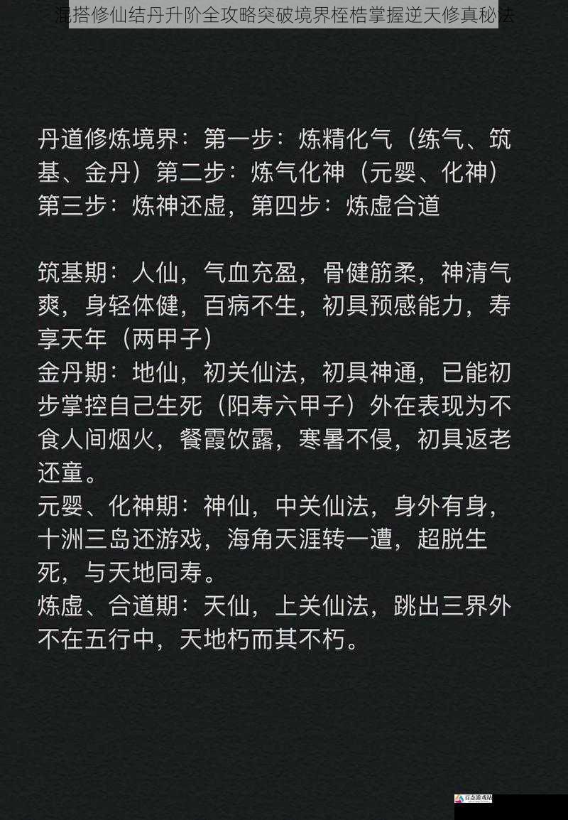 混搭修仙结丹升阶全攻略突破境界桎梏掌握逆天修真秘法