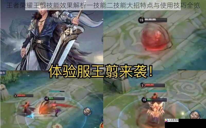  王者荣耀王翦技能效果解析一技能二技能大招特点与使用技巧全览