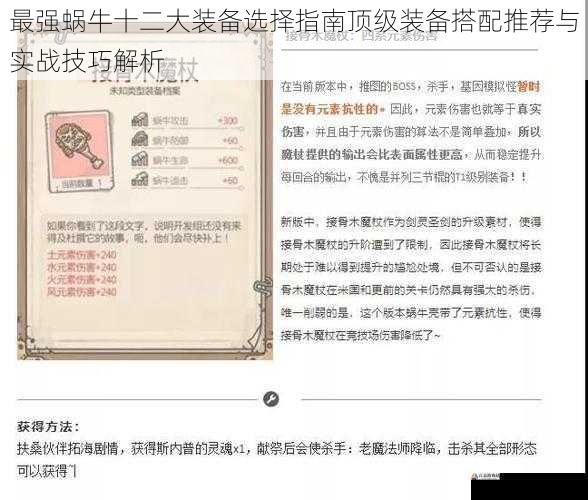  最强蜗牛十二大装备选择指南顶级装备搭配推荐与实战技巧解析