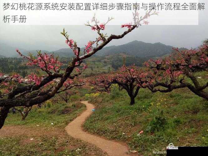  梦幻桃花源系统安装配置详细步骤指南与操作流程全面解析手册