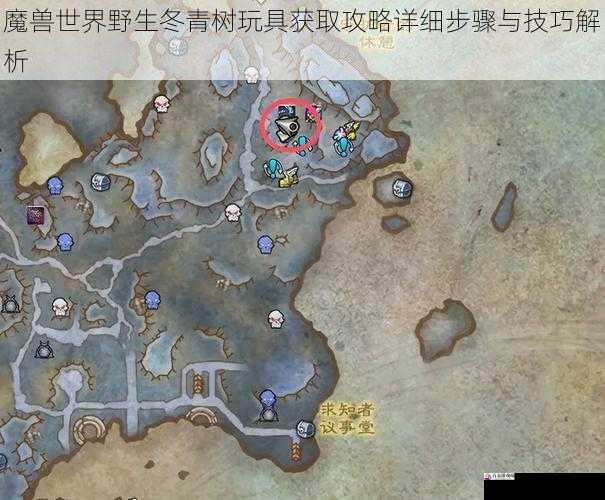 魔兽世界野生冬青树玩具获取攻略详细步骤与技巧解析