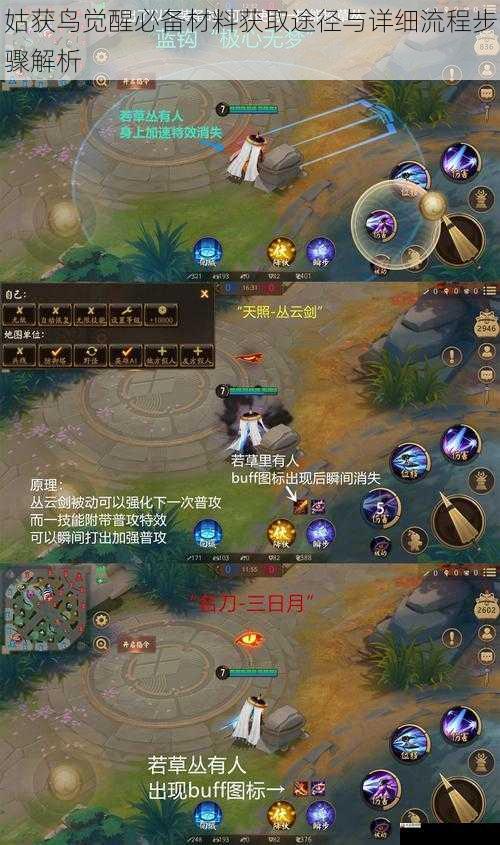 姑获鸟觉醒必备材料获取途径与详细流程步骤解析