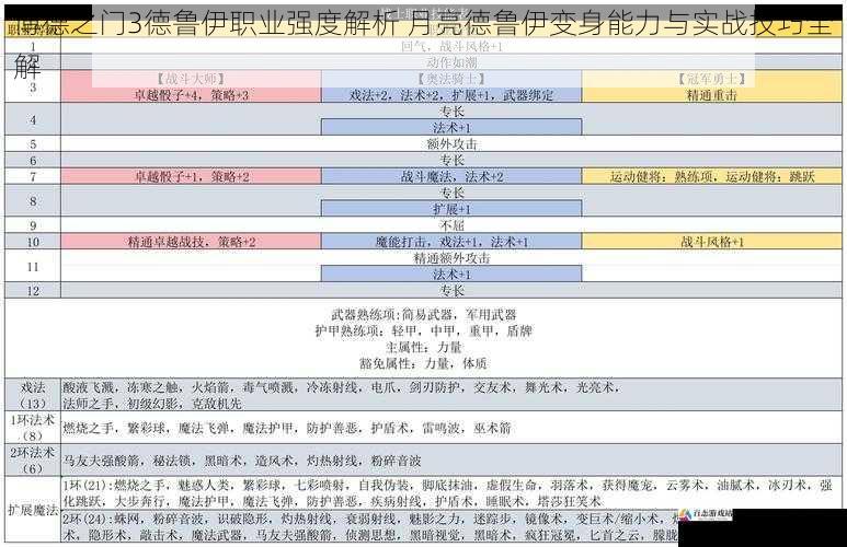 博德之门3德鲁伊职业强度解析 月亮德鲁伊变身能力与实战技巧全解