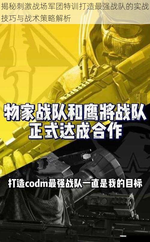 揭秘刺激战场军团特训打造最强战队的实战技巧与战术策略解析