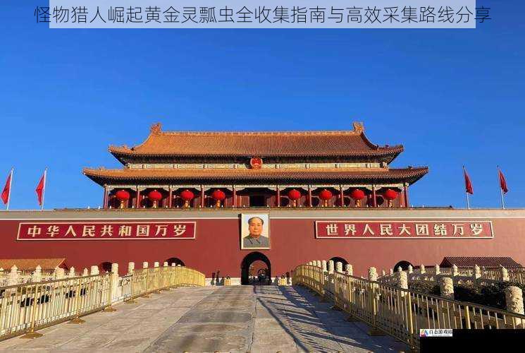 怪物猎人崛起黄金灵瓢虫全收集指南与高效采集路线分享