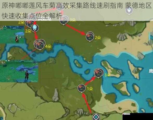 原神嘟嘟莲风车菊高效采集路线速刷指南 蒙德地区快速收集点位全解析