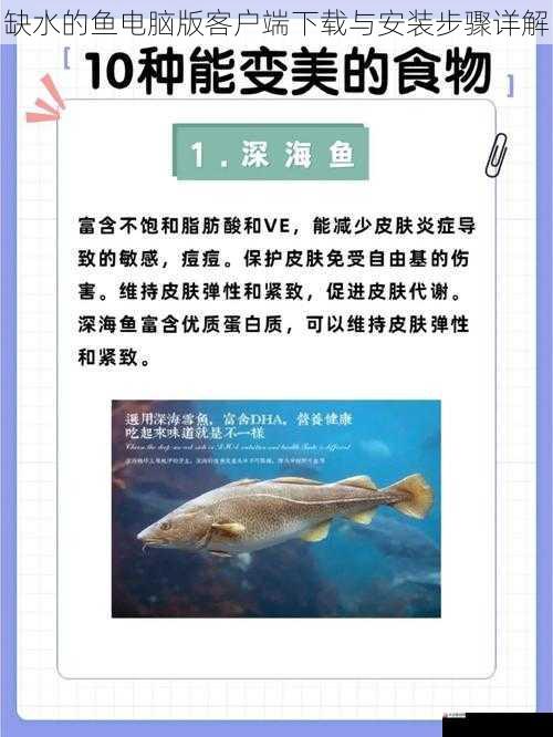 缺水的鱼电脑版客户端下载与安装步骤详解