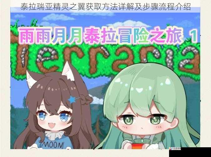  泰拉瑞亚精灵之翼获取方法详解及步骤流程介绍
