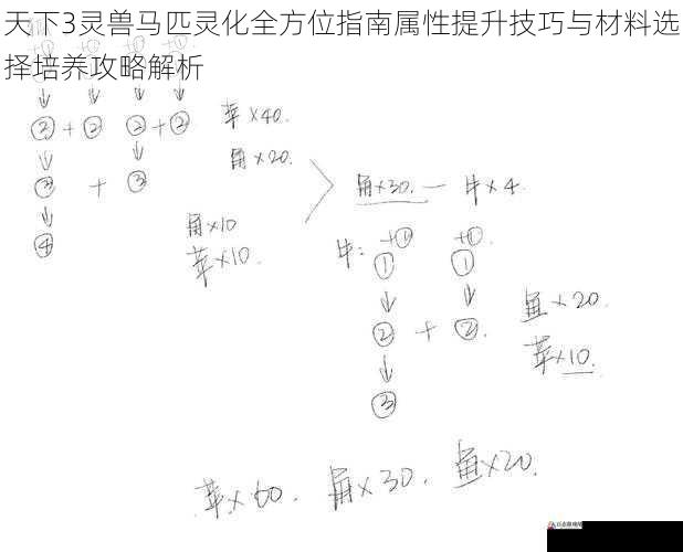 天下3灵兽马匹灵化全方位指南属性提升技巧与材料选择培养攻略解析