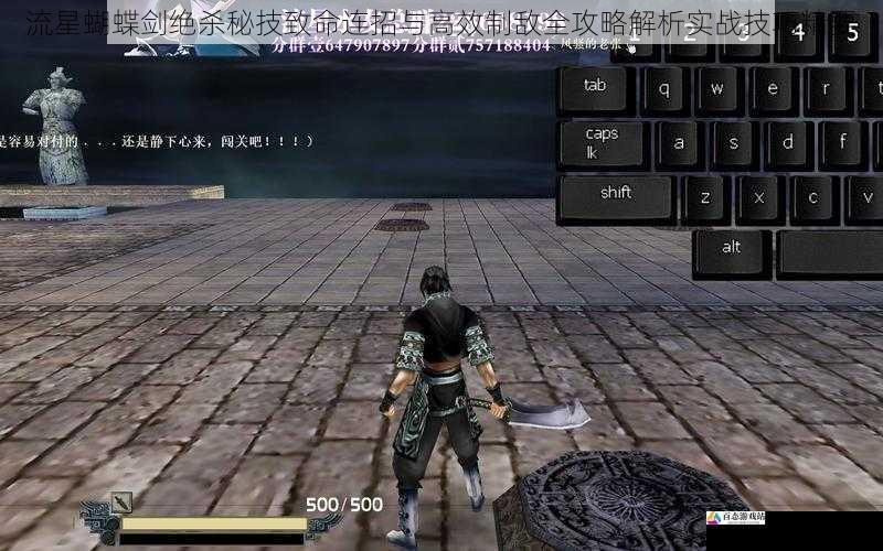 流星蝴蝶剑绝杀秘技致命连招与高效制敌全攻略解析实战技巧精要