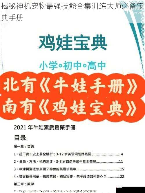 揭秘神机宠物最强技能合集训练大师必备宝典手册
