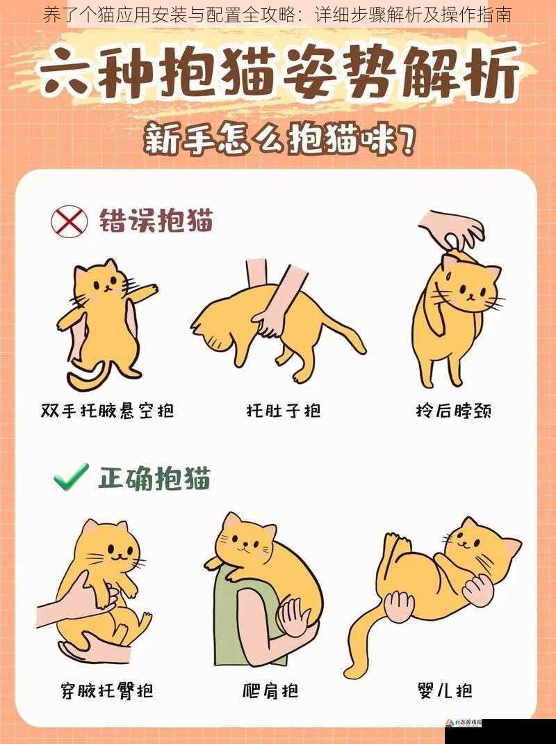 养了个猫应用安装与配置全攻略：详细步骤解析及操作指南