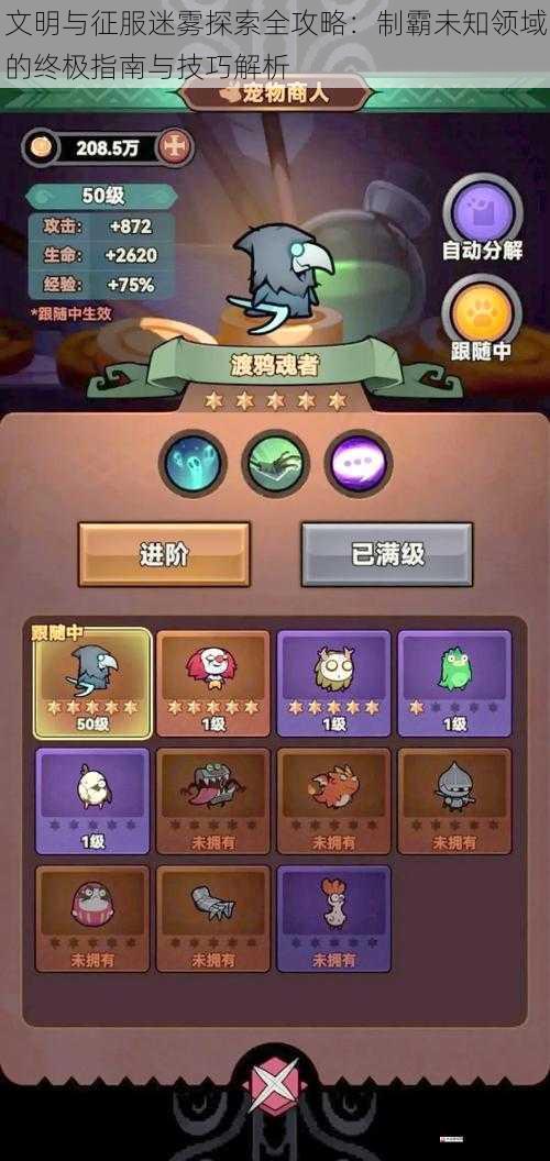  文明与征服迷雾探索全攻略：制霸未知领域的终极指南与技巧解析