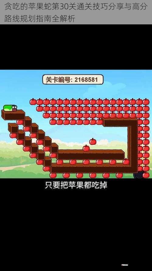 贪吃的苹果蛇第30关通关技巧分享与高分路线规划指南全解析