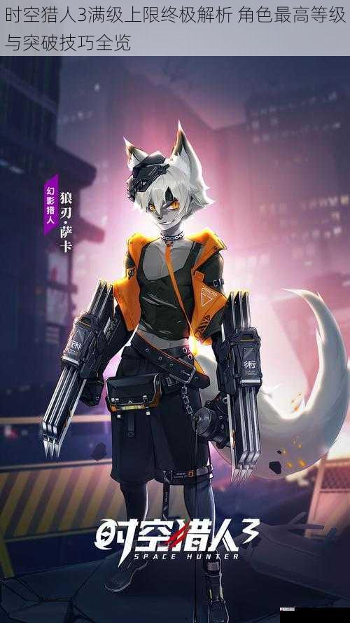 时空猎人3满级上限终极解析 角色最高等级与突破技巧全览