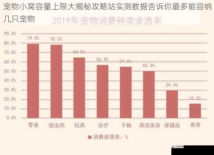 宠物小窝容量上限大揭秘攻略站实测数据告诉你最多能容纳几只宠物