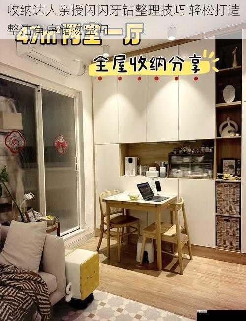 收纳达人亲授闪闪牙钻整理技巧 轻松打造整洁有序储物空间