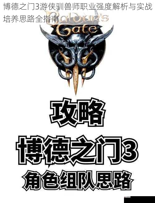 博德之门3游侠驯兽师职业强度解析与实战培养思路全指南
