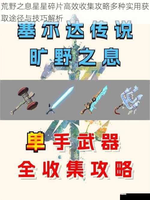荒野之息星星碎片高效收集攻略多种实用获取途径与技巧解析