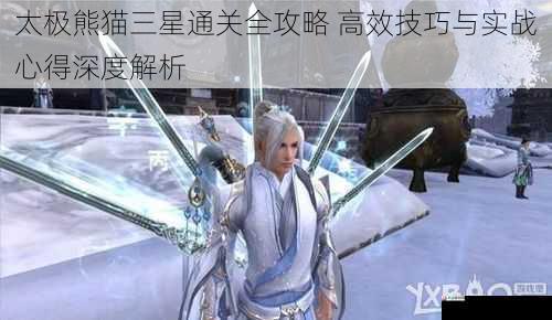 太极熊猫三星通关全攻略 高效技巧与实战心得深度解析