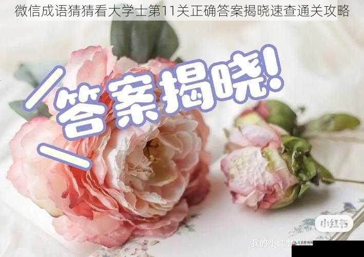 微信成语猜猜看大学士第11关正确答案揭晓速查通关攻略