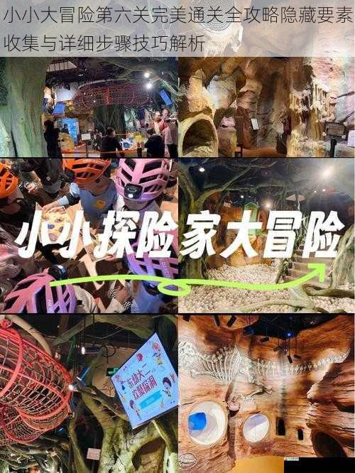 小小大冒险第六关完美通关全攻略隐藏要素收集与详细步骤技巧解析