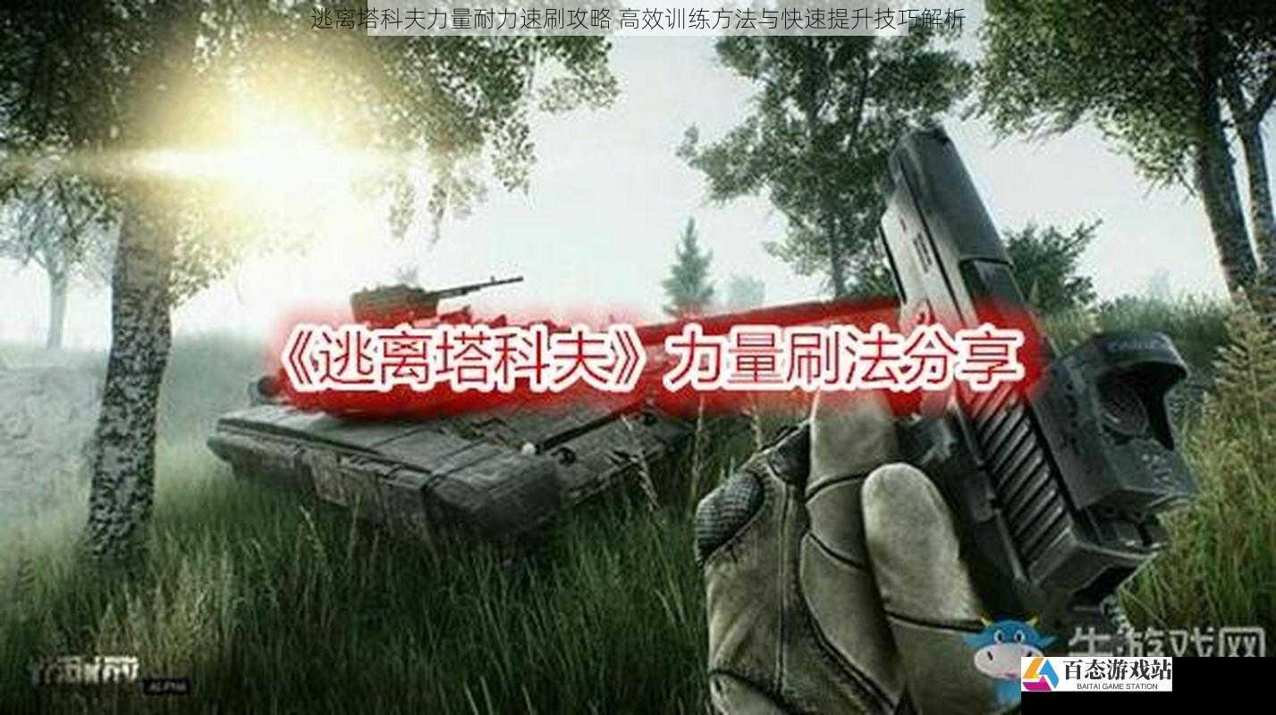  逃离塔科夫力量耐力速刷攻略 高效训练方法与快速提升技巧解析