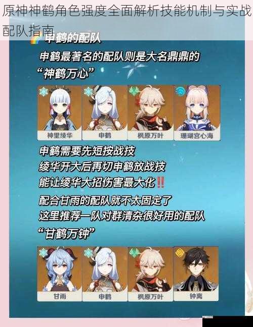 原神神鹤角色强度全面解析技能机制与实战配队指南