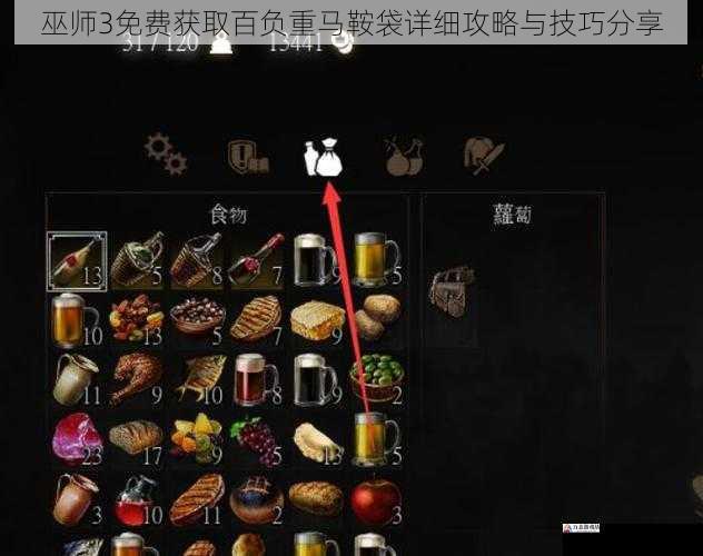 巫师3免费获取百负重马鞍袋详细攻略与技巧分享