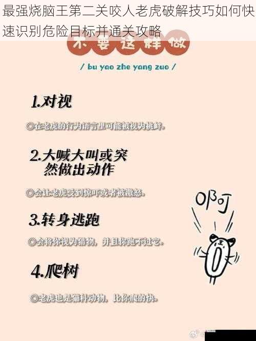 最强烧脑王第二关咬人老虎破解技巧如何快速识别危险目标并通关攻略