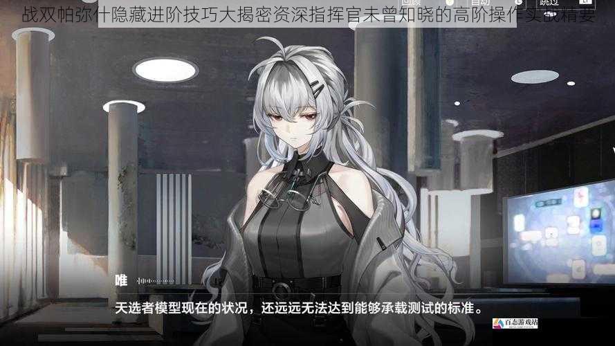 战双帕弥什隐藏进阶技巧大揭密资深指挥官未曾知晓的高阶操作实战精要