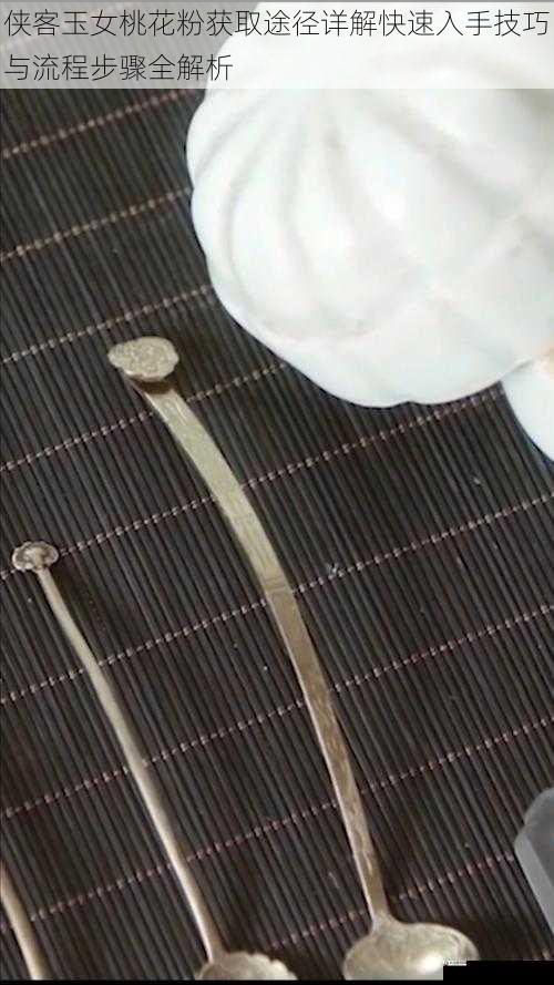 侠客玉女桃花粉获取途径详解快速入手技巧与流程步骤全解析