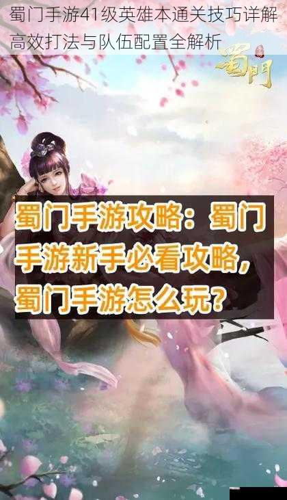 蜀门手游41级英雄本通关技巧详解高效打法与队伍配置全解析