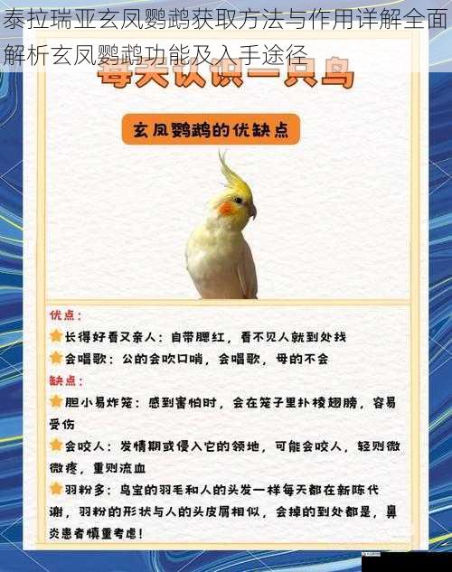 泰拉瑞亚玄凤鹦鹉获取方法与作用详解全面解析玄凤鹦鹉功能及入手途径