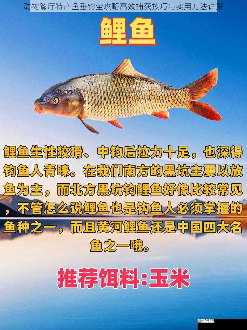 动物餐厅特产鱼垂钓全攻略高效捕获技巧与实用方法详解