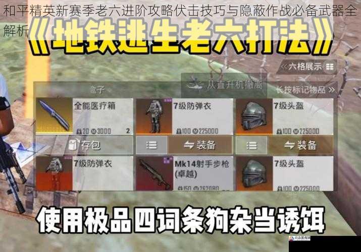 和平精英新赛季老六进阶攻略伏击技巧与隐蔽作战必备武器全解析