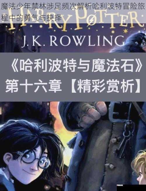 魔法少年禁林涉足频次解析哈利波特冒险旅程中的勇气与抉择