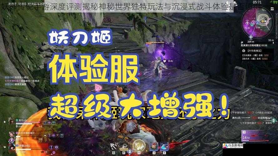  妖神传说手游深度评测揭秘神秘世界独特玩法与沉浸式战斗体验是否值得一试