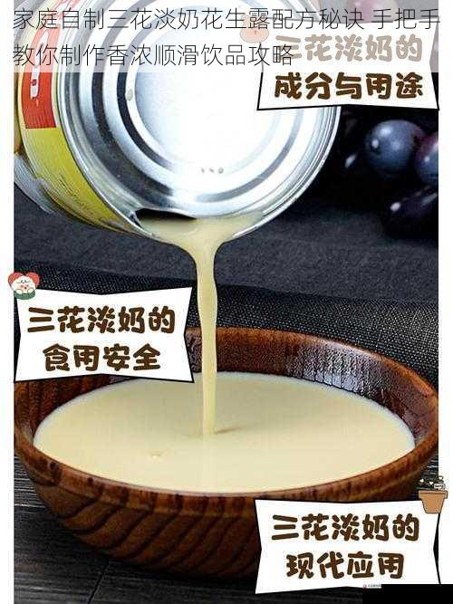 家庭自制三花淡奶花生露配方秘诀 手把手教你制作香浓顺滑饮品攻略