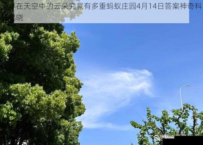 漂浮在天空中的云朵究竟有多重蚂蚁庄园4月14日答案神奇科普揭晓